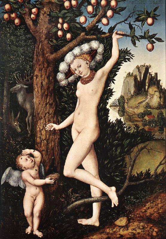 CRANACH, Lucas the Elder Cupid Complaining to Venus df China oil painting art